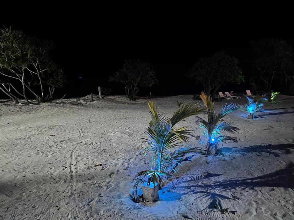 Jambo Beach Hotel Paje Esterno foto